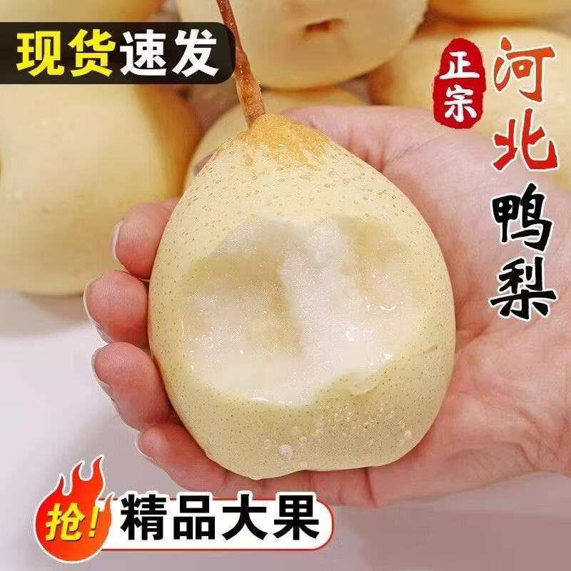 河北鸭梨千年梨乡赵县鸭梨水晶梨应季水果生鲜爆汁补水脆甜多汁 产地直发:带箱5斤(中果装)净重4.5斤