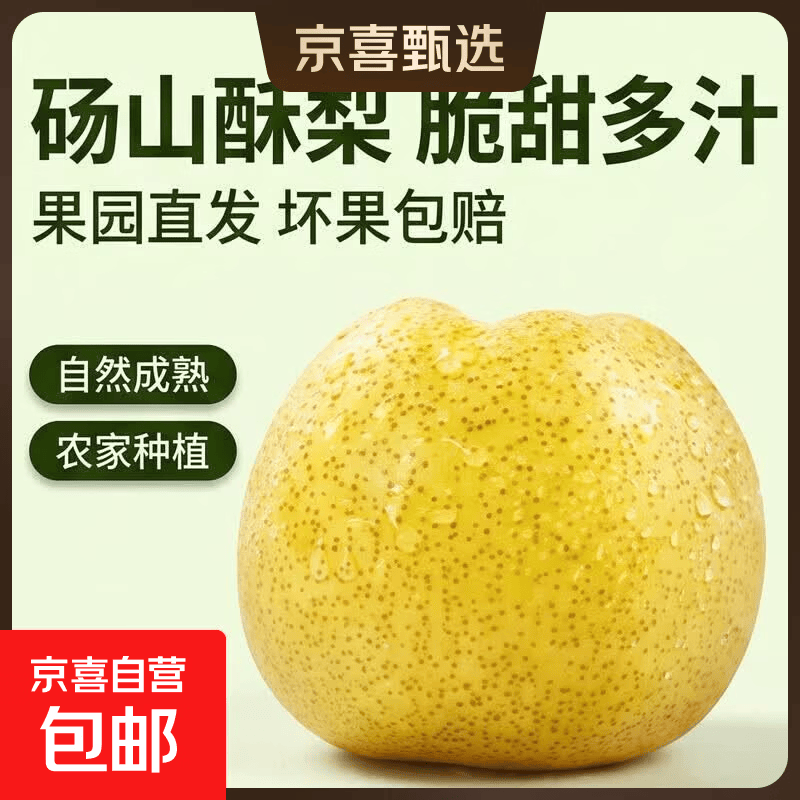 【果园直发】正宗砀山酥梨薄皮脆甜当季新鲜梨子酥梨冰糖雪梨整箱 砀山酥梨带箱2斤 200g