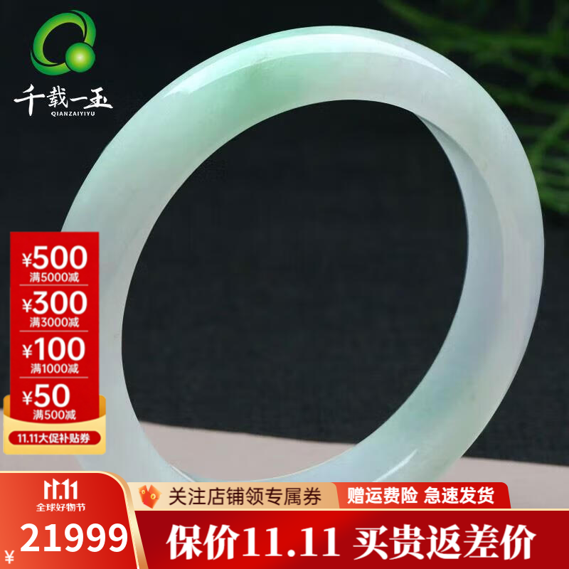 千载一玉保价11.11 翡翠玉手镯 女士飘绿玉石镯子珠宝手镯 【款三 约58毫米】QZC7701L