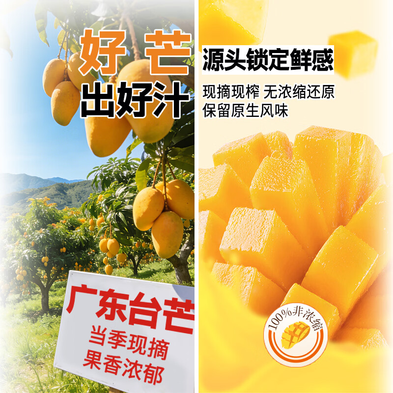 森优百分百NFC芒果汁纯芒果原浆无添加芒果汁罐装解腻礼盒 芒果汁228ml*30 三箱装