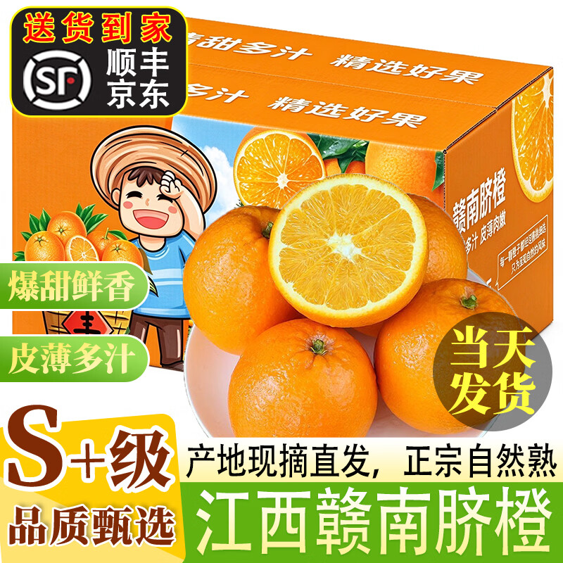 小筑倾橙【顺丰/JD】江西正宗赣南脐橙甜橙新鲜水果手剥橙子年货礼盒 10斤精选大果带箱【单果80-90mm】
