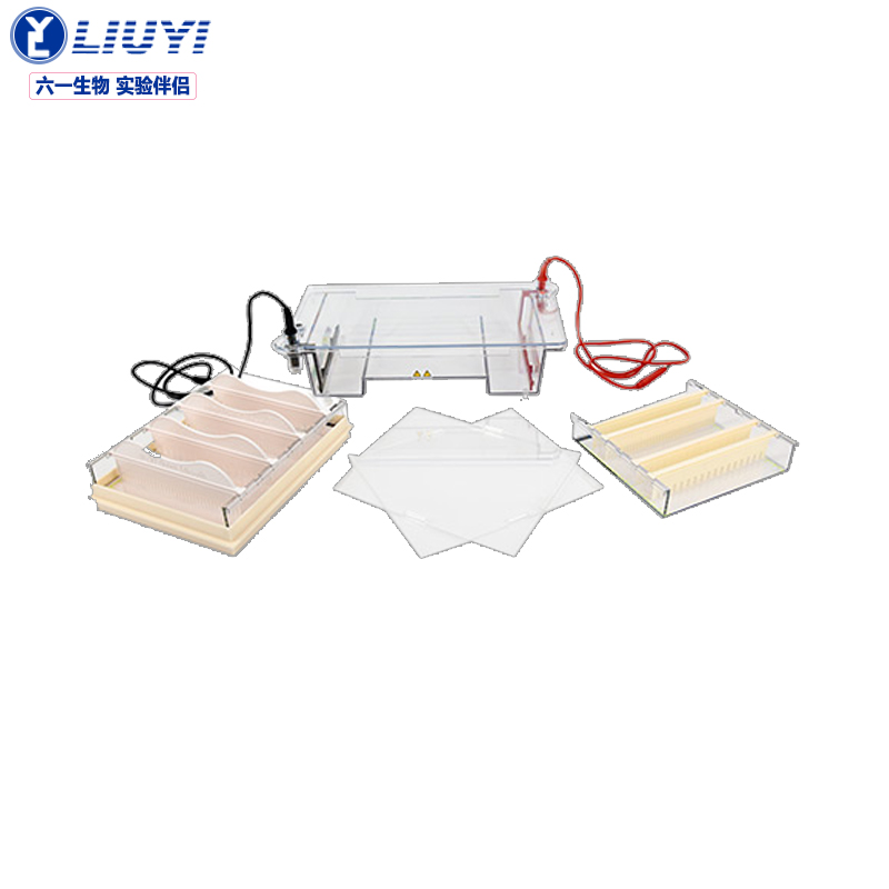电泳槽dna蛋白质水平槽核酸制胶凝胶器科研院校化学物理分析电泳装置