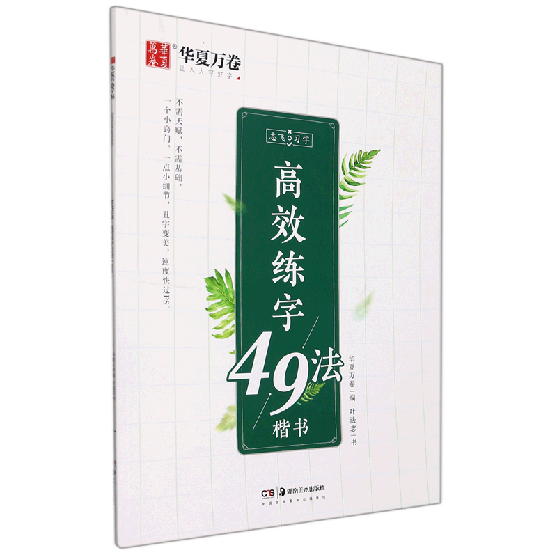 【新华书店正版】 高效练字49法(楷书)/志飞习字