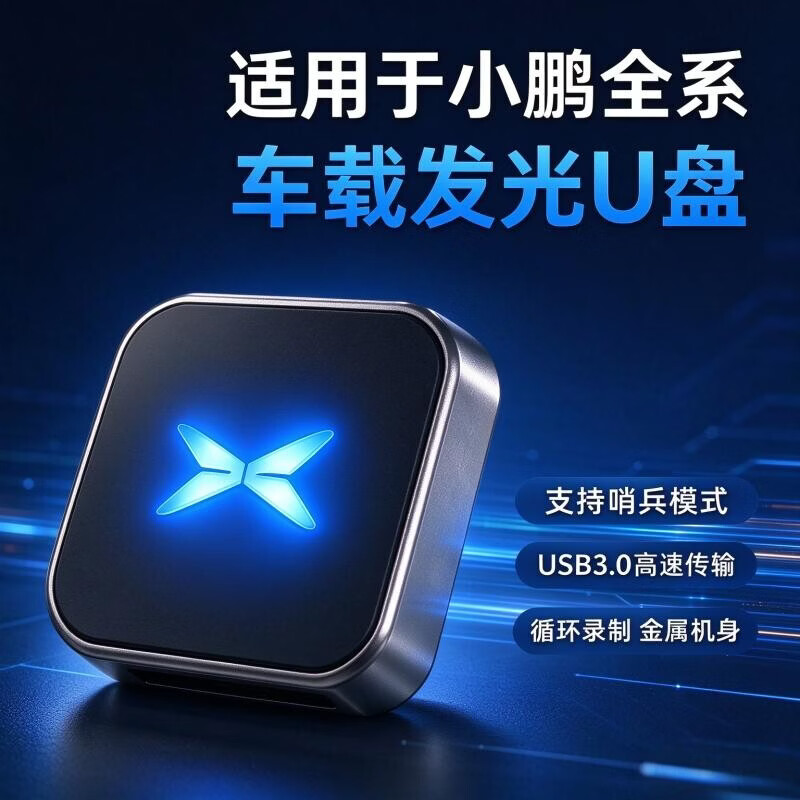 迪卜乐适用小鹏全系车型行车记录仪车载发光U盘支持哨兵模式USB3.0高速传输金属材质送转接头Type-c接口 黑色 适用于小鹏车载U盘 256GB 循环录制64小时 京东折扣/优惠券