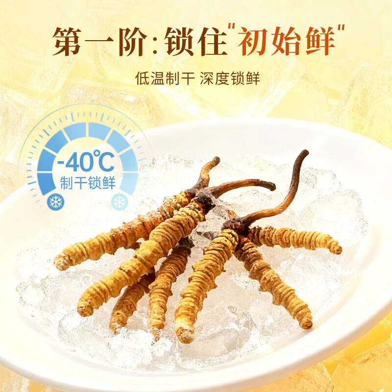 源江草品牌 冬虫夏草 新干虫草滋补品高端滋补礼盒 5根/克 4g*1盒 【热销款】