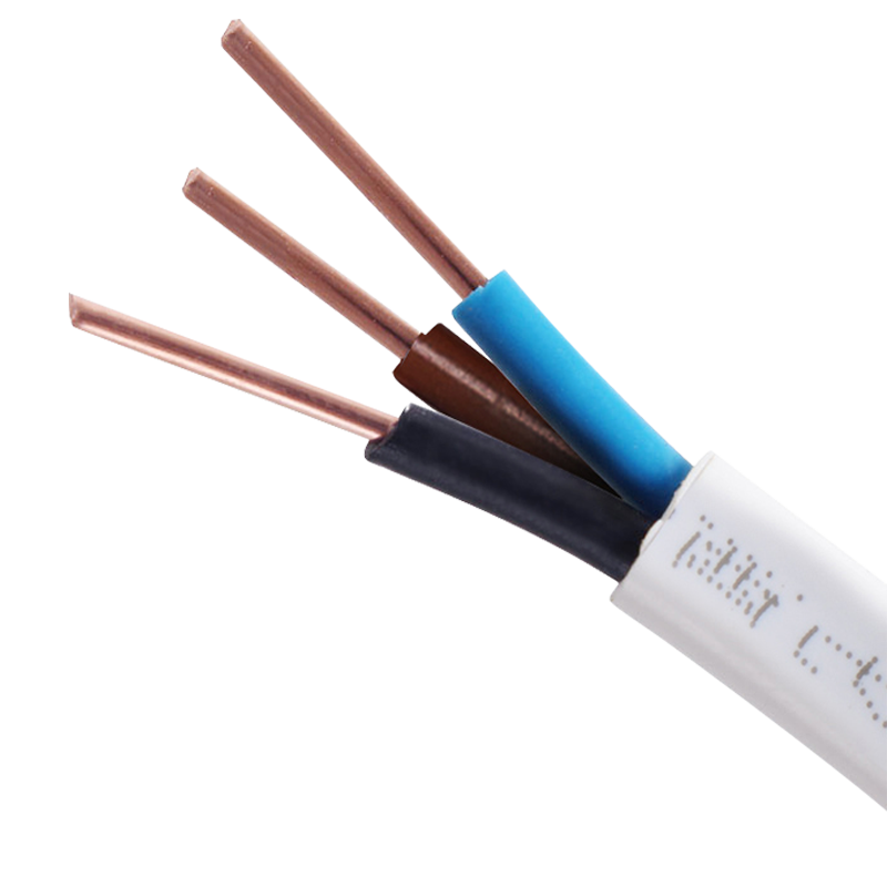 德力西（DELIXI）电线电缆家用铜芯散剪不支持退换BVVB4平方 三芯护套线10米装