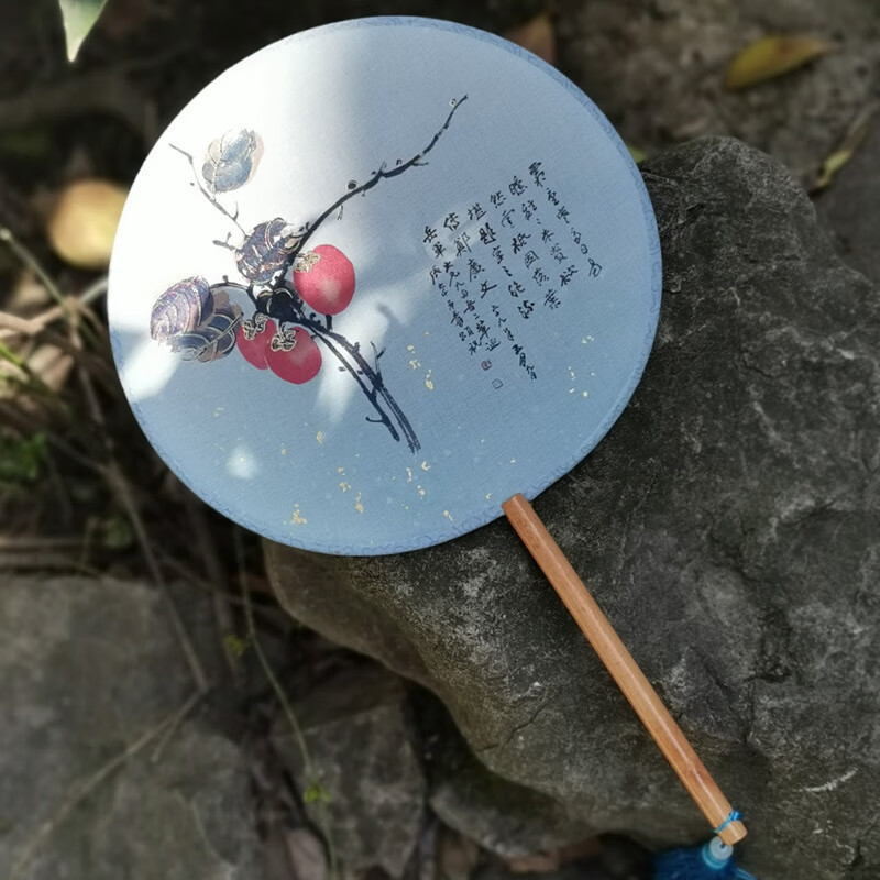 古风团扇汉服古风扇子团扇团扇女汉服掌扇小团扇古风宫扇 遗世独立