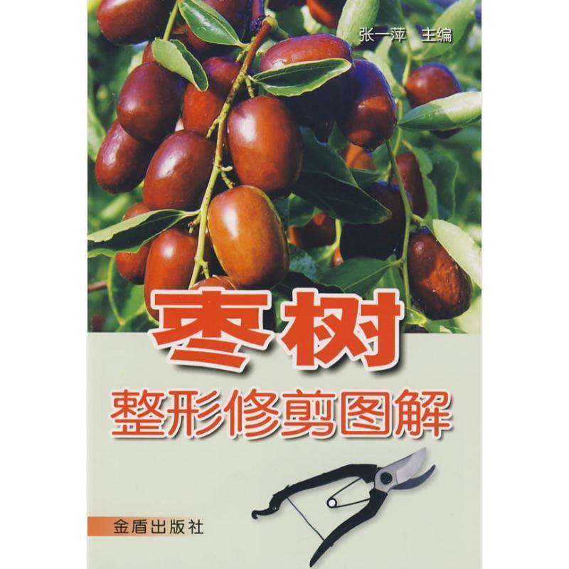 枣树整形修剪图解 张一萍 主编【正版】