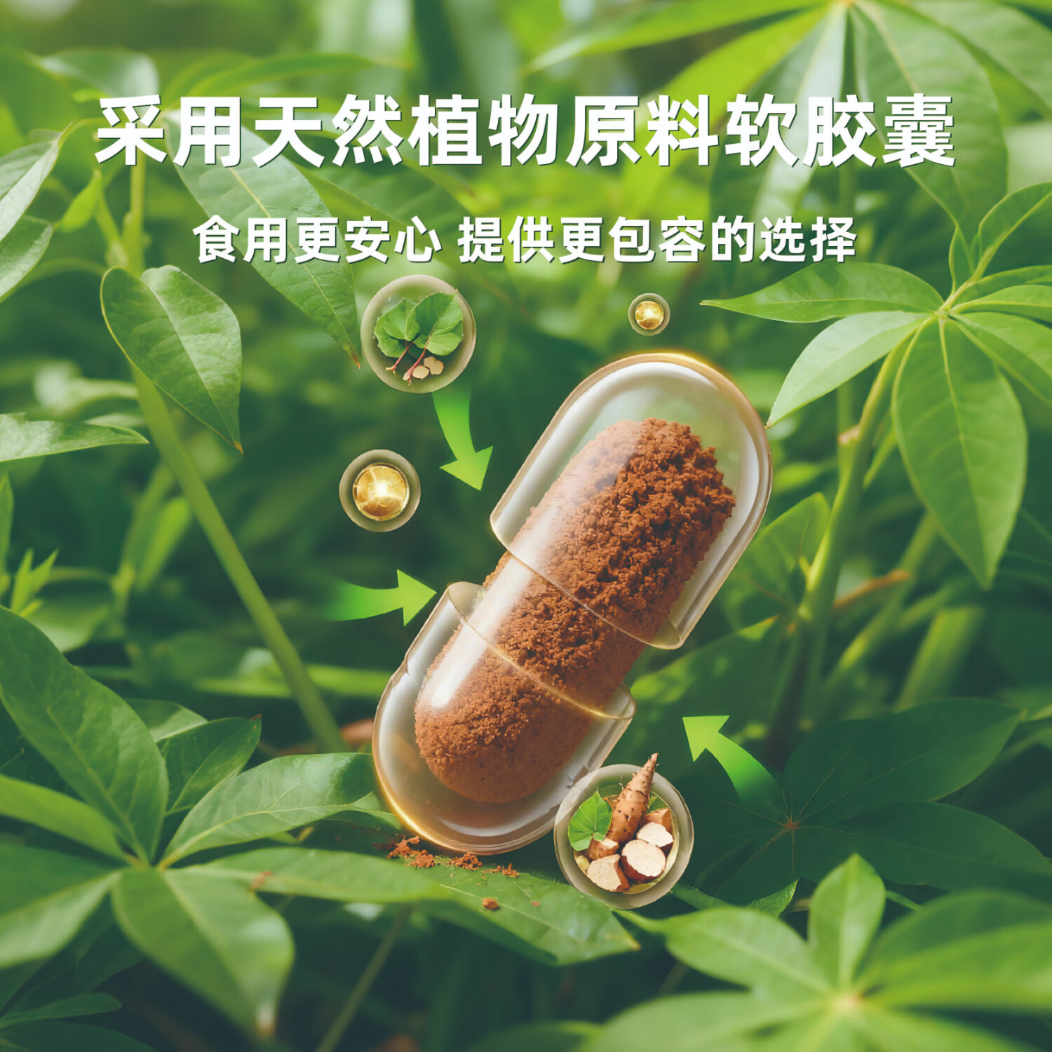立健藏元破壁灵芝孢子粉增强免疫力术后恢复滋补保健礼品蓝帽认证 3盒 270粒装【45天调理装-增强免疫】