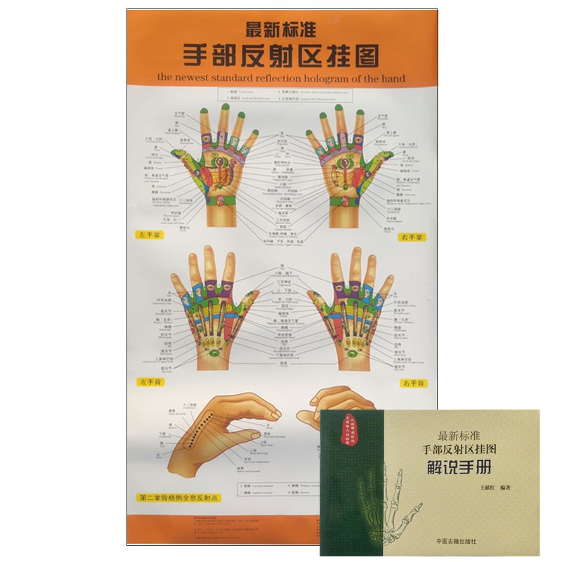 穴位图手部反射区挂图新标准中医养生高清挂图赠解说册人体穴位按摩