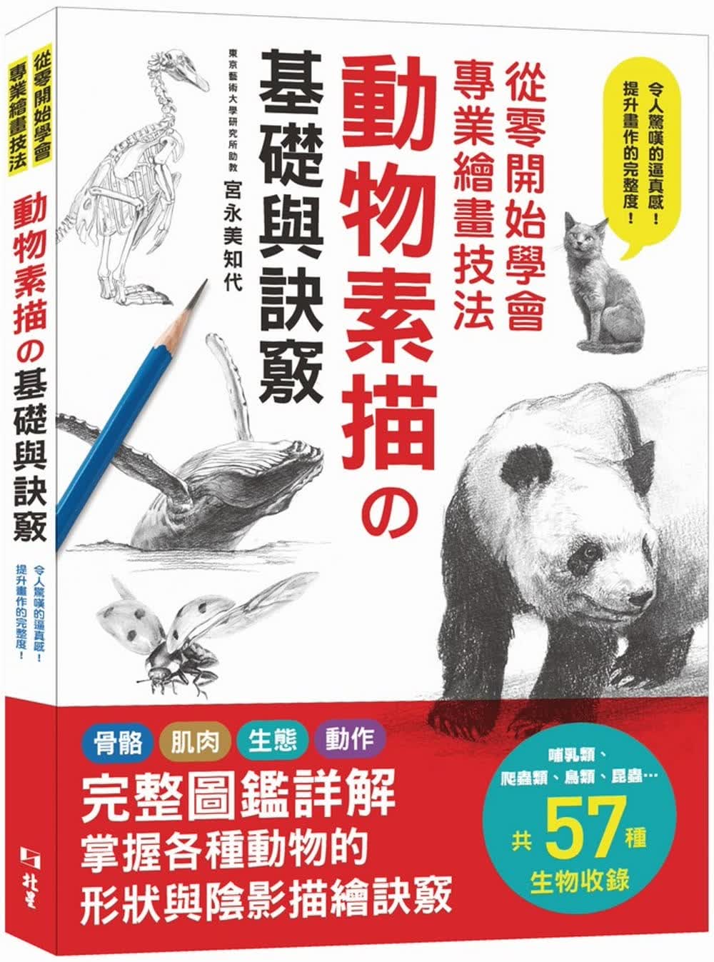 预售 宫永美知代 从零开始学会专业绘画技法：动物素描の基础与诀窍 北星