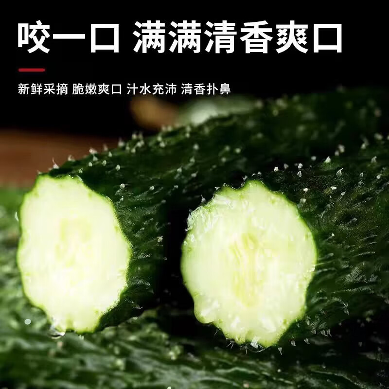 豔疅新鲜采摘刺黄瓜当季农家蔬菜可生吃采摘水果长脆绿心黄瓜蜜刺生鲜 净重 4.5斤 新鲜采摘【保鲜膜+珍珠网】
