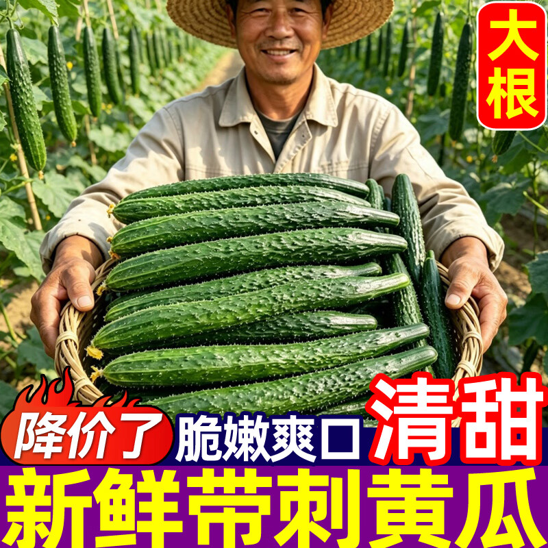 豔疅新鲜采摘刺黄瓜当季农家蔬菜可生吃采摘水果长脆绿心黄瓜蜜刺生鲜 净重 4.5斤 新鲜采摘【保鲜膜+珍珠网】 京东折扣/优惠券
