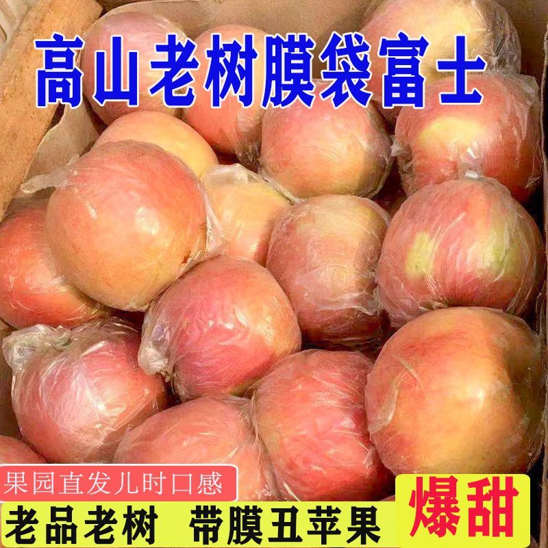 京农超陕西红富士苹果水果脆甜丑苹果平果冰糖心苹果当季新鲜水果生鲜 5斤铂金果 【单果75-80mm】 净重4.5斤起