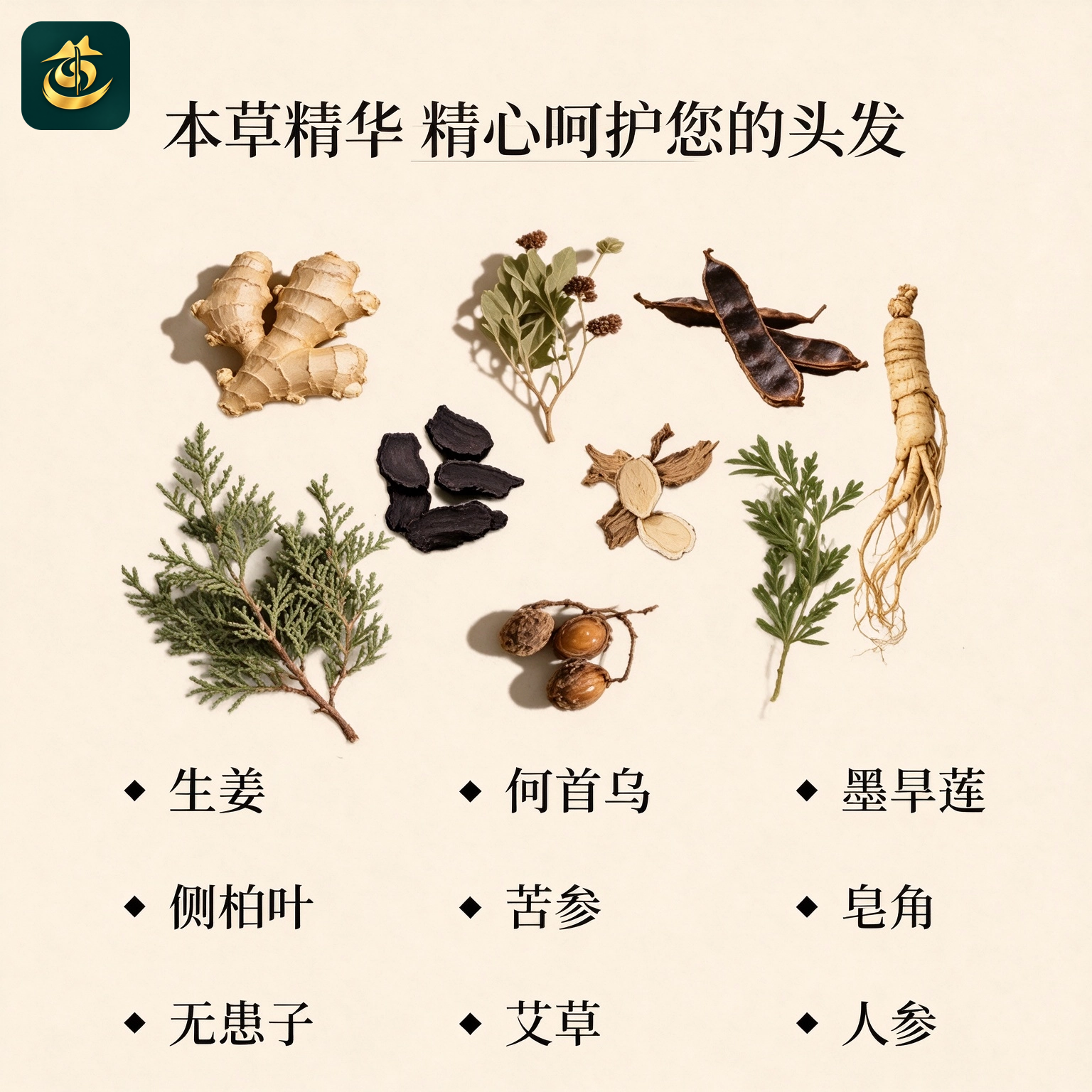道化心闲【真品】本草洗发水净澈秀发清爽去屑千年道藏百年中医 300ml