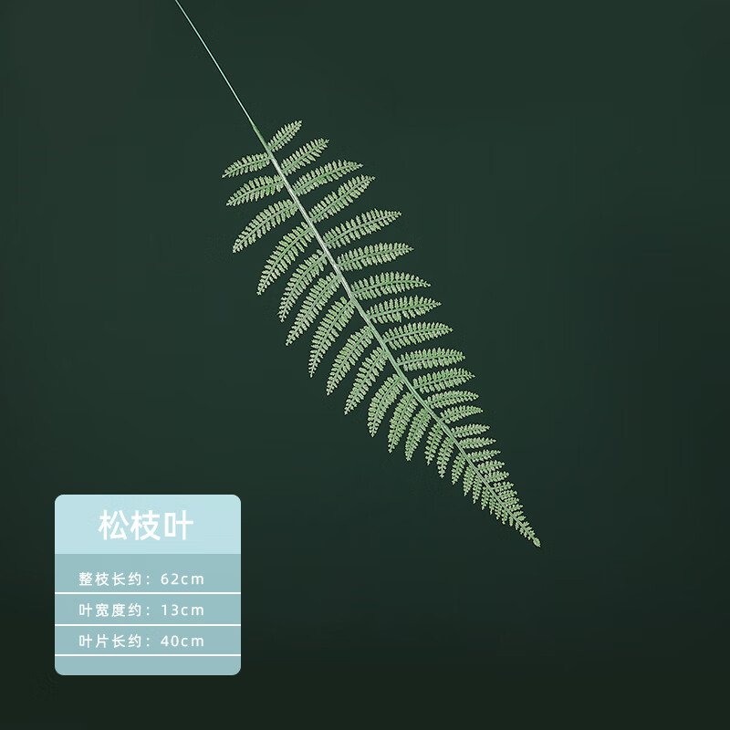 森系产品摄影教程笔记，技巧教学大全