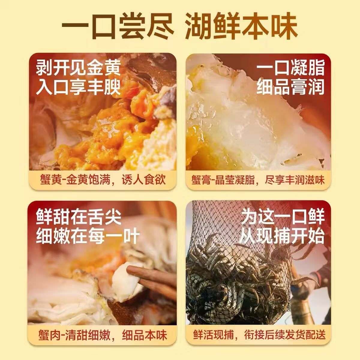 【活蟹】正宗江苏 母大闸蟹 简装生鲜水产礼盒 京东快递 售后无忧 【活蟹】八只2-2.2两母蟹