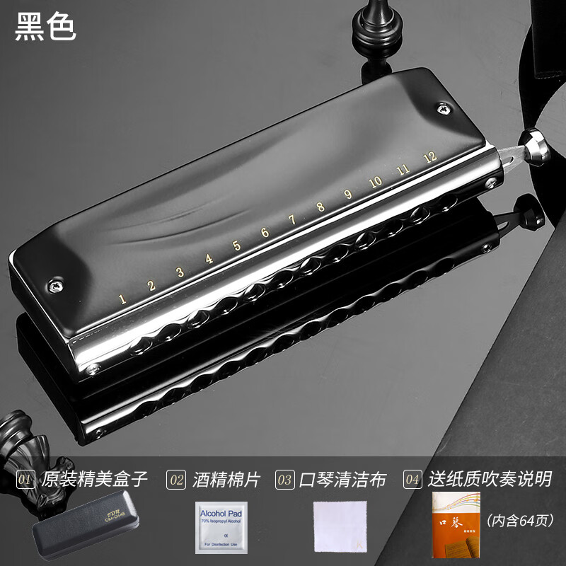 saint lipinn半音阶口琴演奏12孔c调gm0648初学者学生入门练习定制款