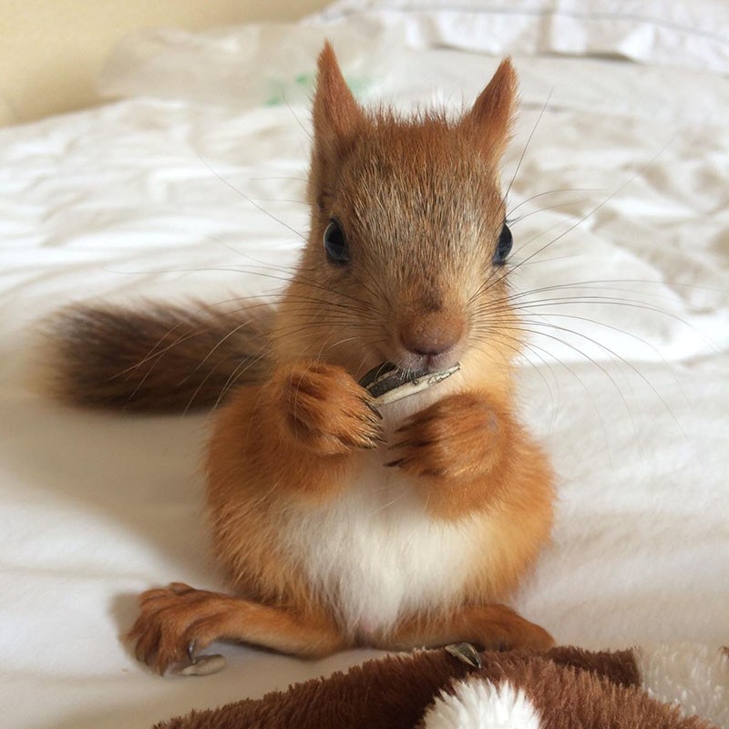 异宠活体商品历史价格查询入口|异宠活体价格走势图