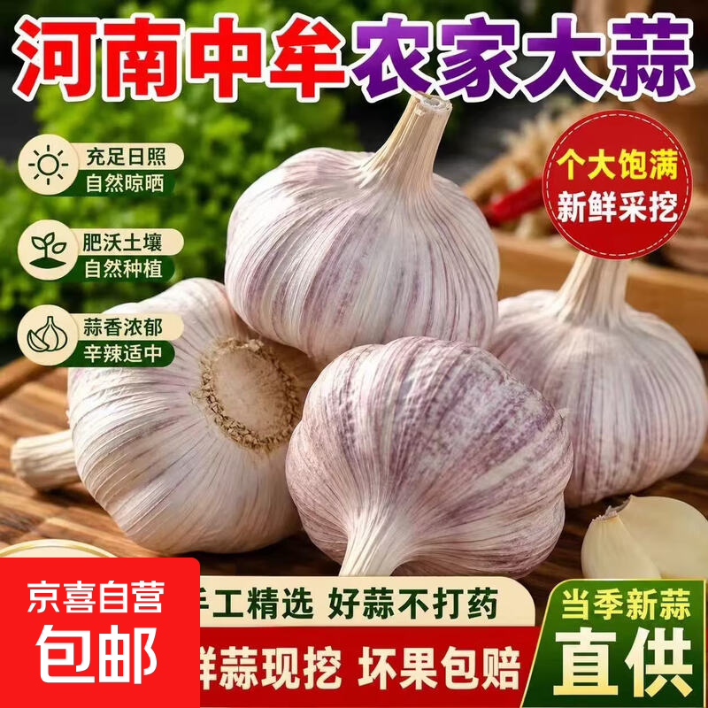 当季新干蒜6头 4.99元 - 86线报