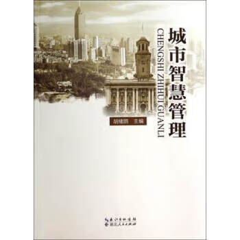 城市智慧管理 胡绪鹍【正版】