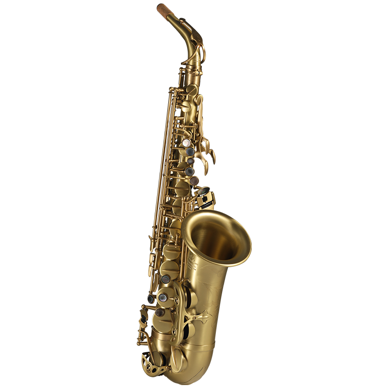 Rollinsax罗林斯乐器X5降E调中音萨克斯，精湛工艺舒适手感|可以看京东萨克斯历史价格