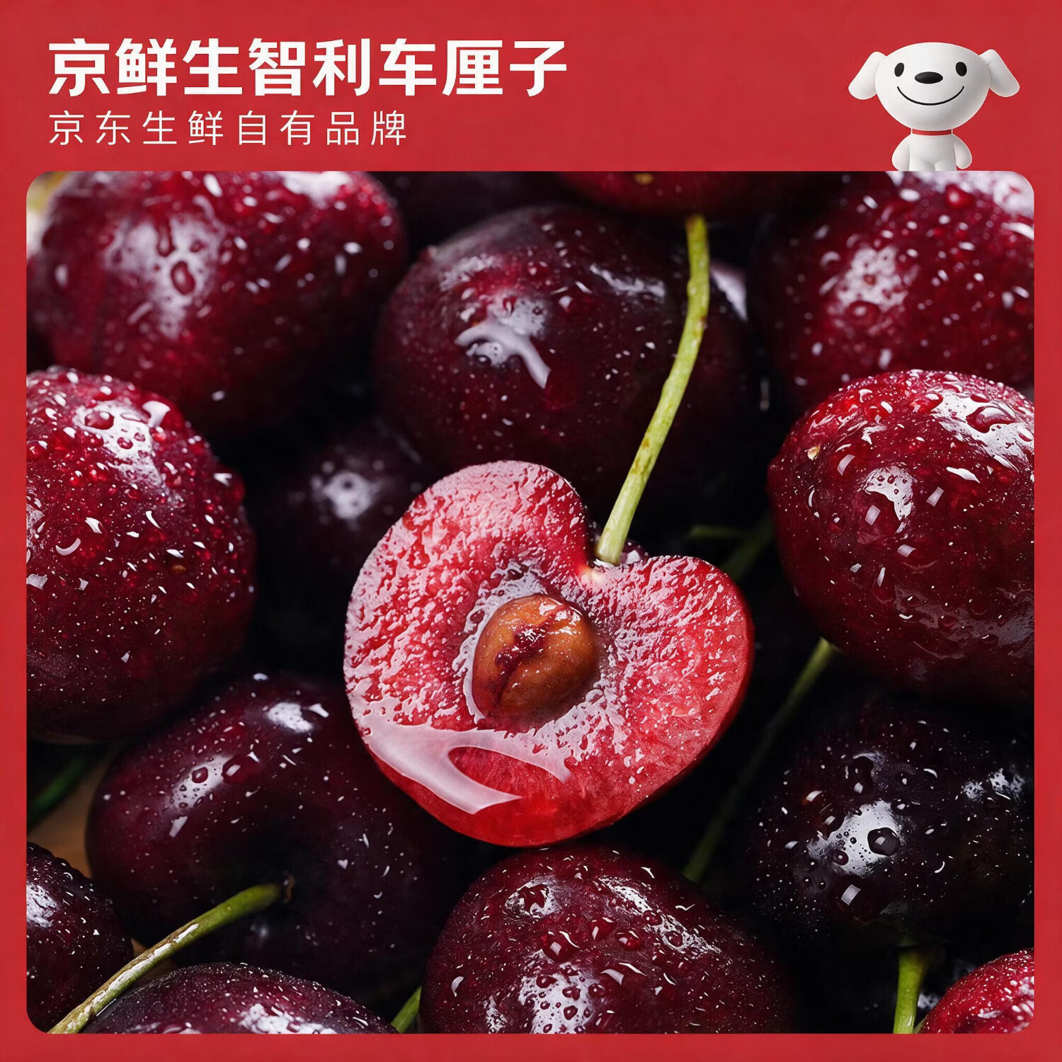 https://img14.360buyimg.com/pop/jfs/t1/550555/35/2704/437997/6ad762a0Fbd969f93/00835dc5dc6f142a.jpg