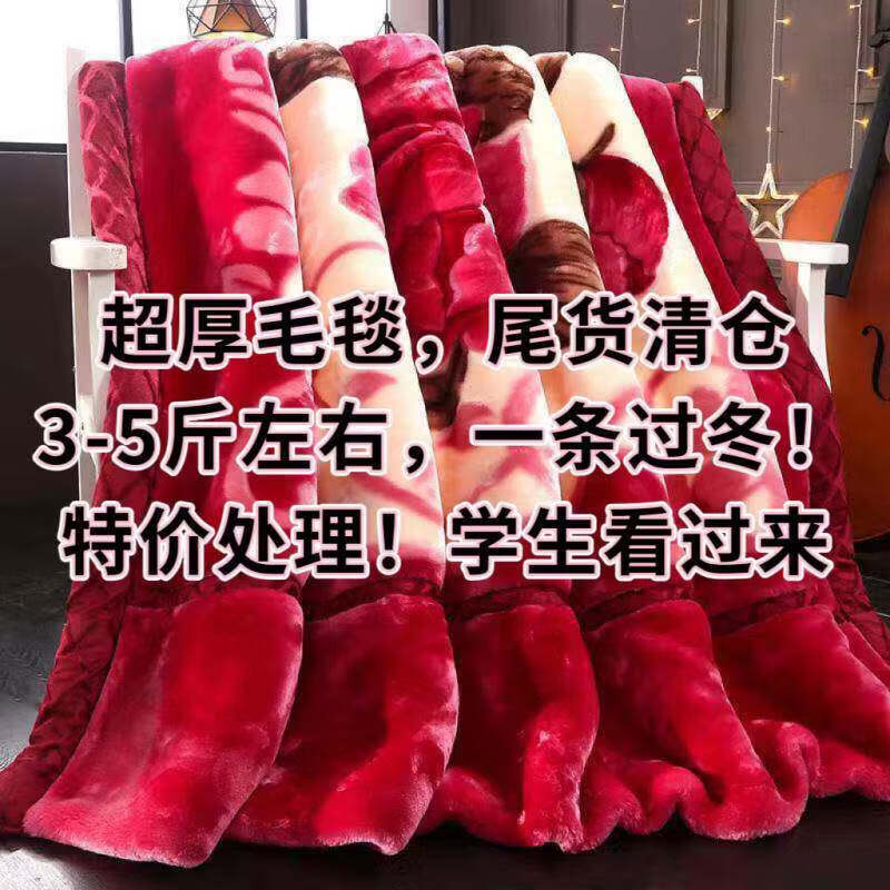 学生宿舍专用毛毯仓拉舍尔冬季加厚盖被珊瑚绒法绒床单午休毯 房子羊【柔软细腻】 180*200【亲肤保暖】