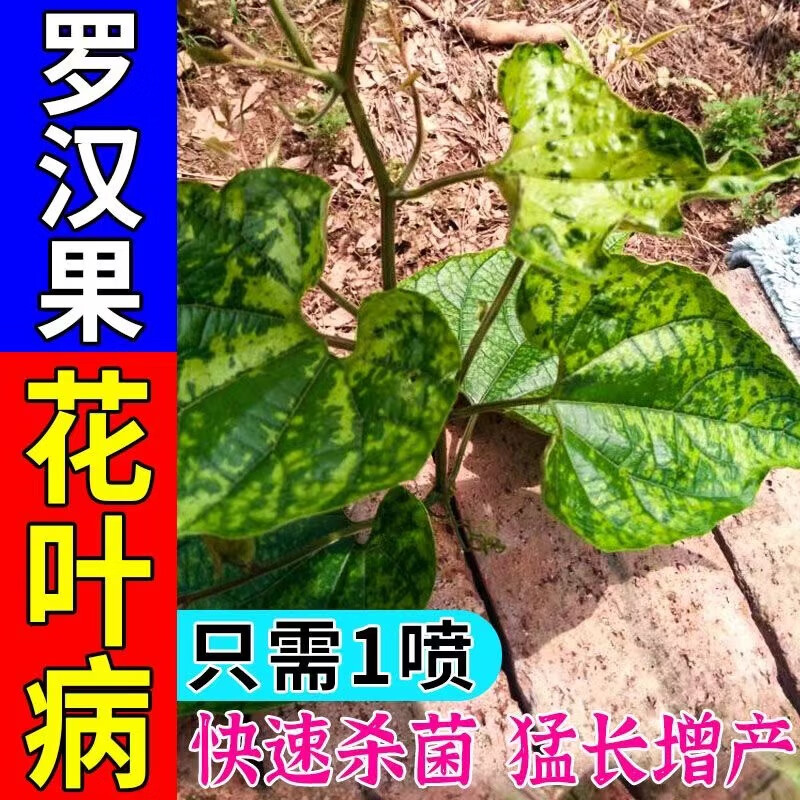 鸾磁罗汉果花叶病专用罗汉果病全清病毒病炭疽病芽枯病疱叶病红尾病