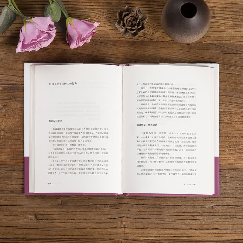 稻盛和夫  活法伍：成功与失败的法则（精装版）详情图