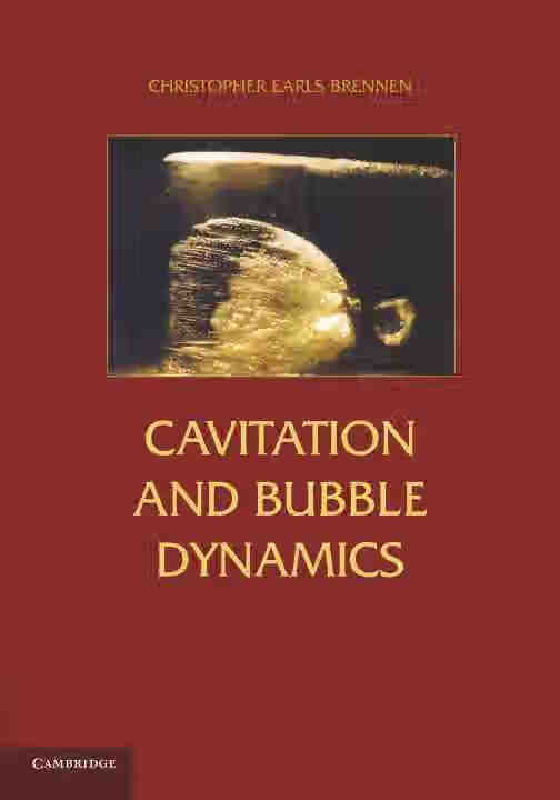 预售 按需印刷cavitation and bubble dynamics