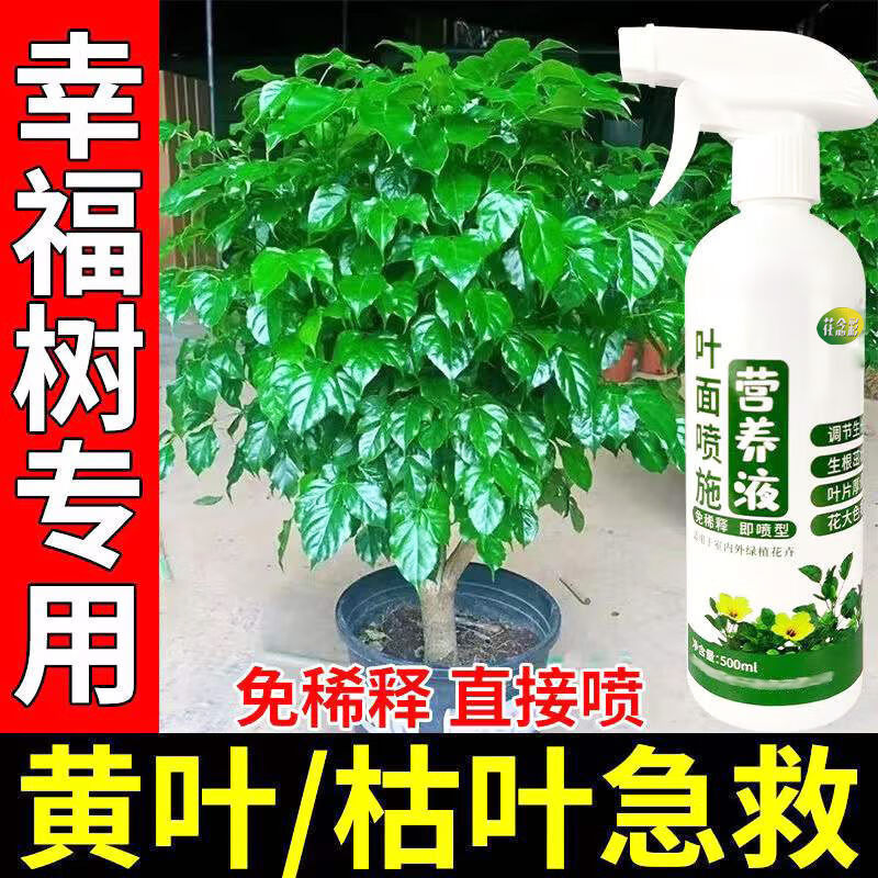 辛仑宗茂绿益觅宝营养液幸福树营养液黄叶 2瓶使用感如何?