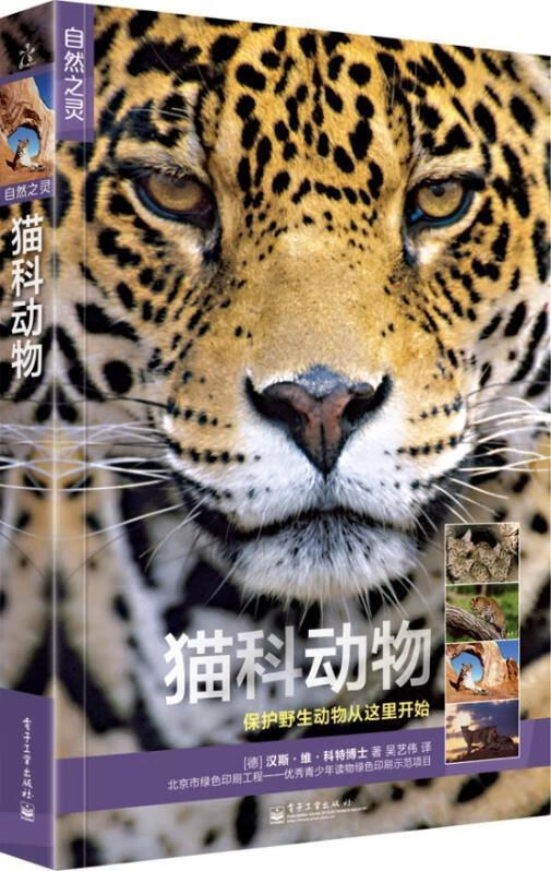 自然之灵 猫科动物 汉斯·维·科特博士 著【正版】