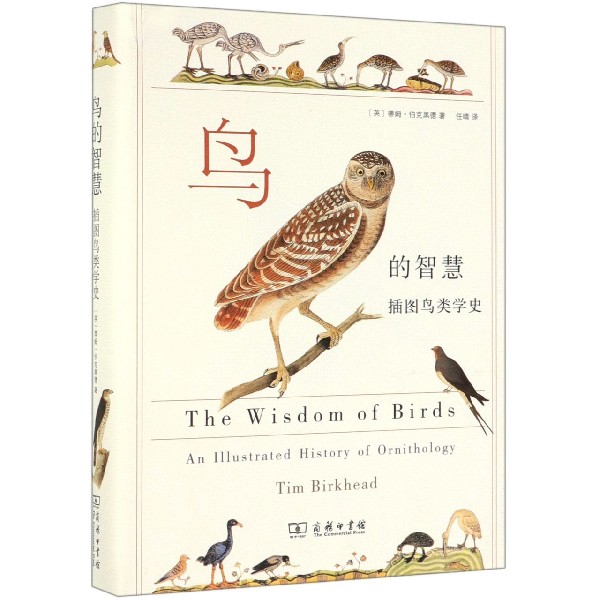 鸟的智慧(插图鸟类学史)(精)