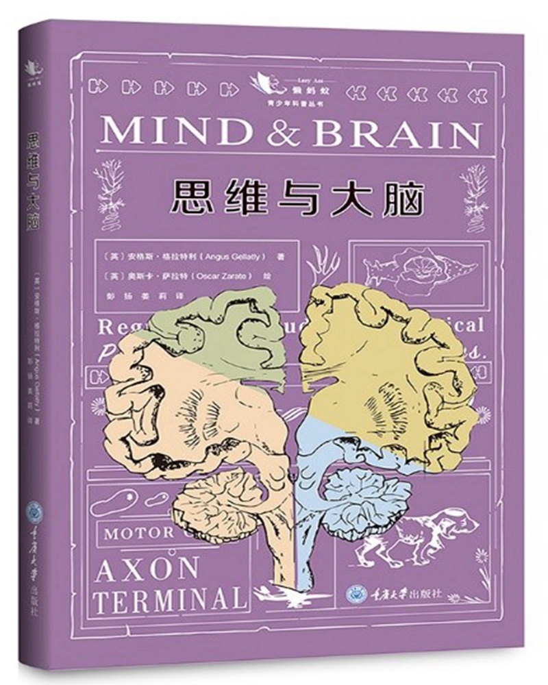 思维与大脑 重庆大学 9787568918428