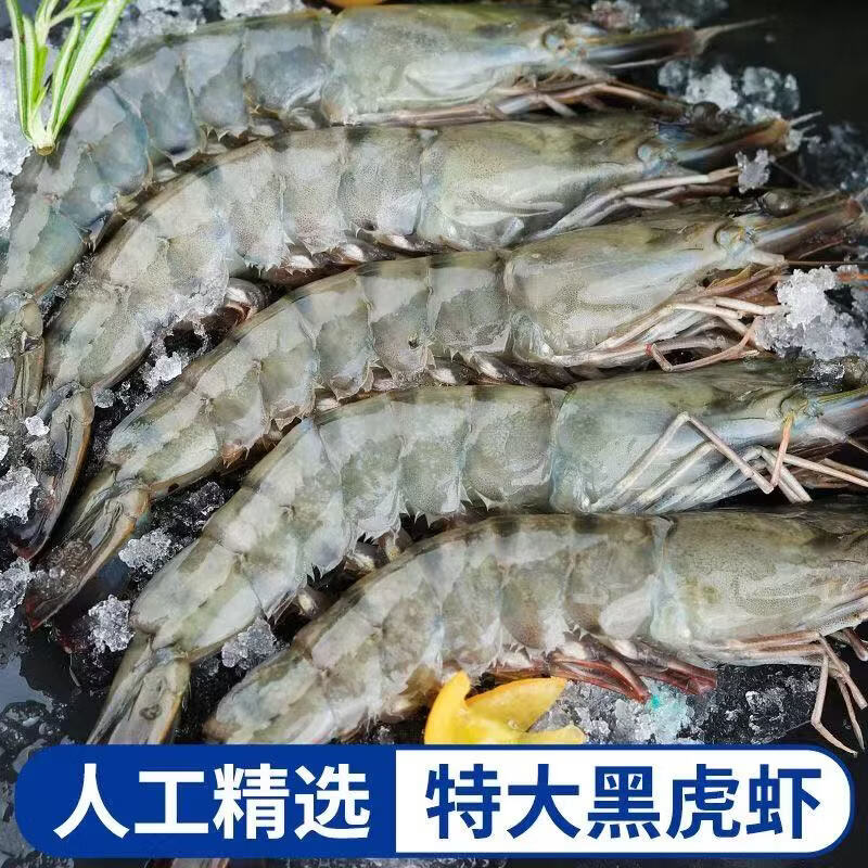 冰鲜部族正宗黑虎虾特大号老虎虾新鲜冷冻鲜活斑节虾大虾整箱海虾生鲜批发 20-23厘米精品特大号黑虎虾 2斤(净重) 【16/20规格】