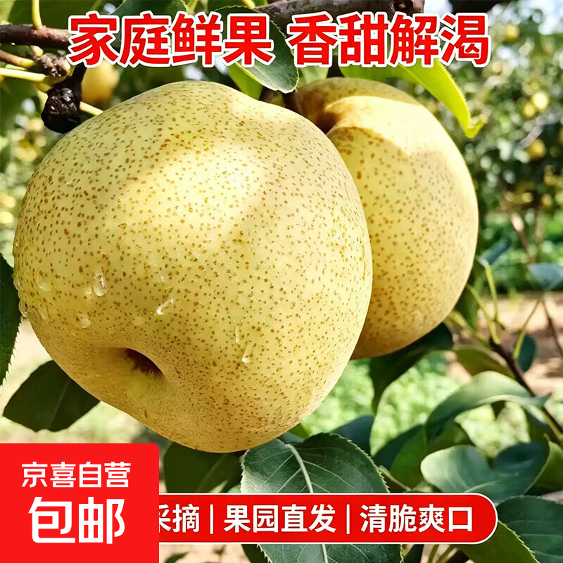 宁陵酥梨带箱4斤 5.98元 - 86线报