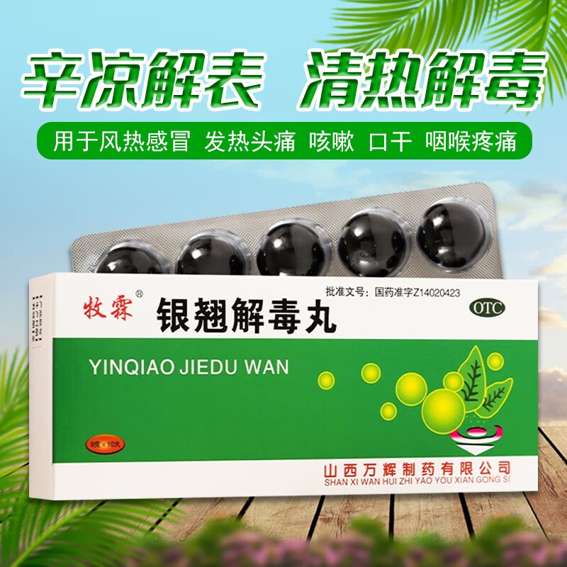牧霖 银翘解毒丸 9g*10丸 辛凉解表 清热解毒 用于风热感冒 发热头痛