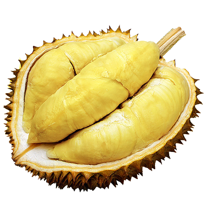 鲜惠源 泰国进口金枕头榴莲鲜果 巴掌榴莲 新鲜生鲜水果整颗带壳 5-6斤（1-2个）