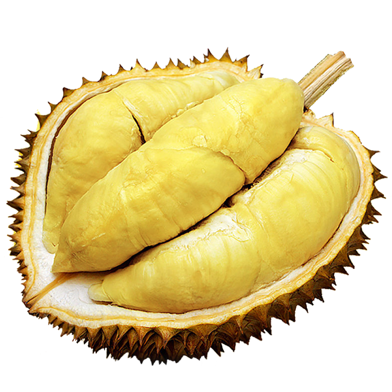 ʻԴ ̩ڽͷ ʹ  ˮŴ ѡʹ4.3-5.31-24ʵ104.17Ԫ