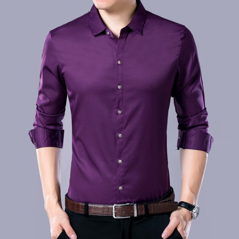 凯逸弗（kainifu）男士衬衫商务秋季新款修身长袖男式职业装工装衬衣 紫色 L