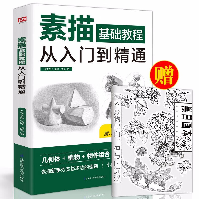 赠视频素描零基础教程从入门到精通初级教程材书籍者铅笔手绘画画册本从单个体石膏几何体成人美术的诀窍临摹范本