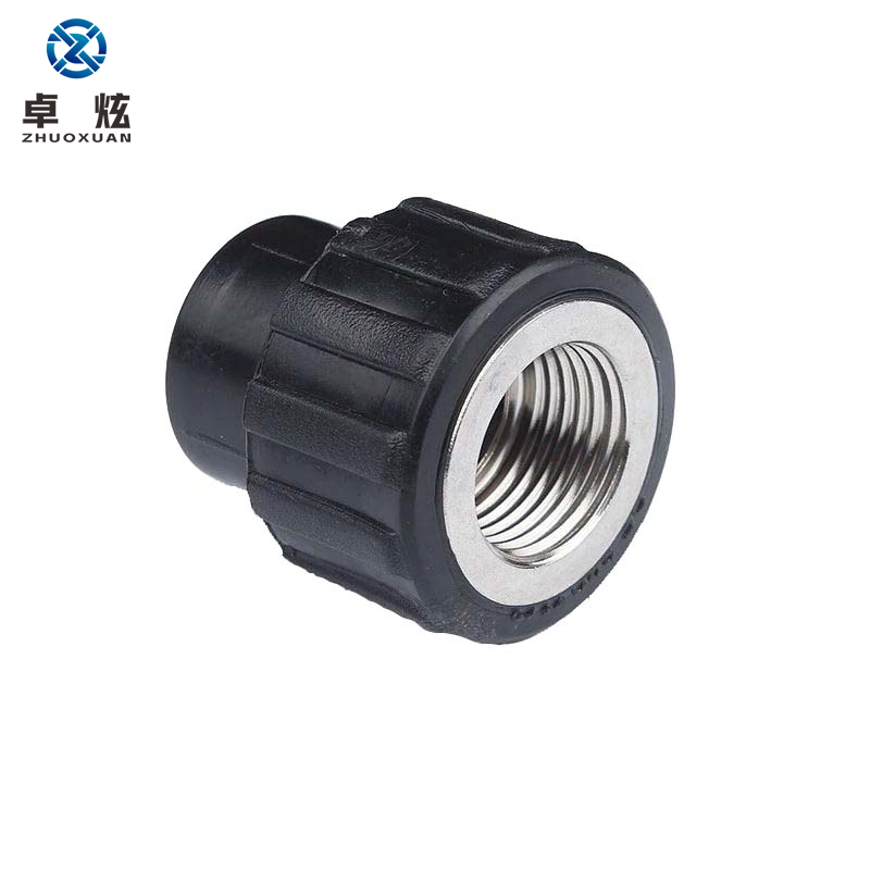 卓炫(zhuoxuan) pe内丝直接 pe自来水管配件  内丝直接s25*3/4f(10个)
