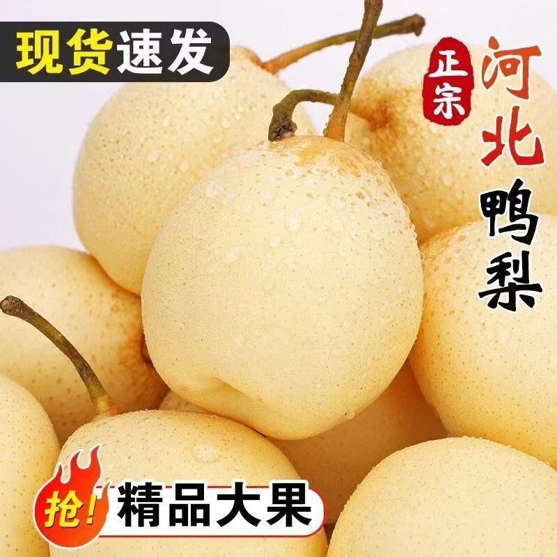 河北鸭梨千年梨乡赵县鸭梨水晶梨应季水果生鲜爆汁补水脆甜多汁 产地直发:带箱5斤(中果装)净重4.5斤