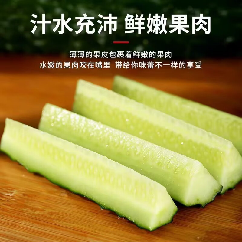 豔疅新鲜采摘刺黄瓜当季农家蔬菜可生吃采摘水果长脆绿心黄瓜蜜刺生鲜 净重 4.5斤 新鲜采摘【保鲜膜+珍珠网】