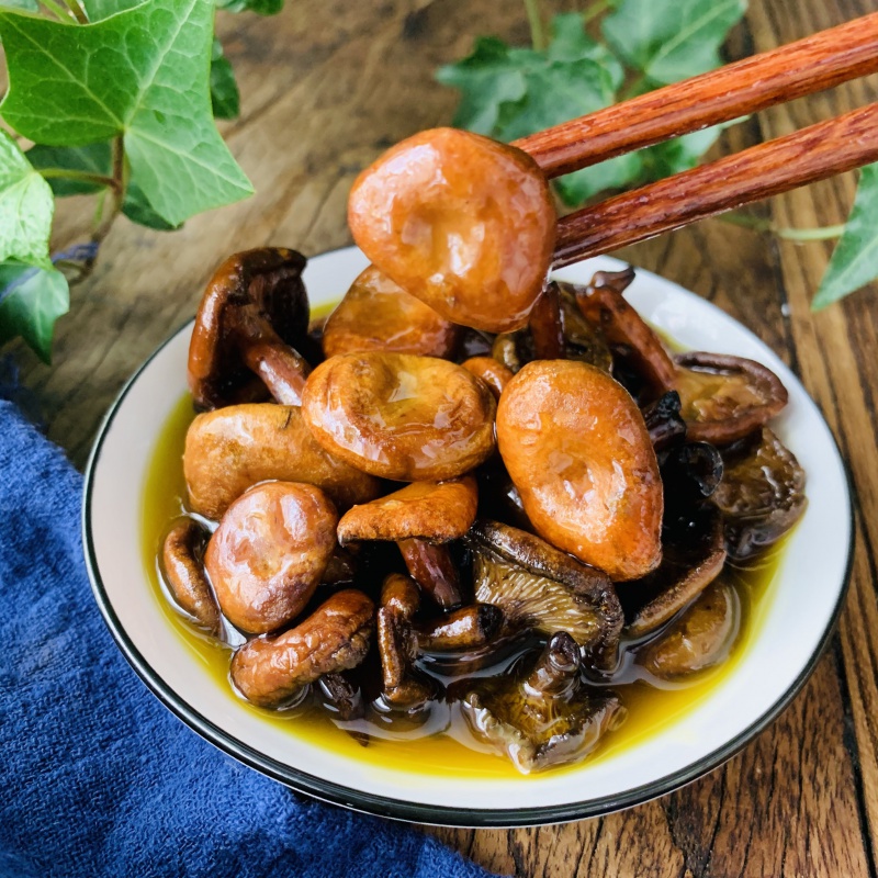 虎钢馋新鲜现熬野生枞菌油寒菌油即食菌油拌面下饭菜原味 400g1