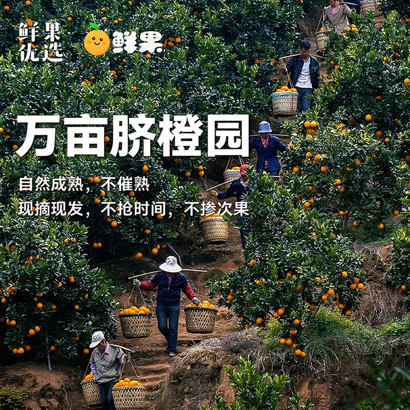 本甄心选正宗赣南脐橙新鲜橙子产地直发赣南早橙爆甜爆汁孕妇小孩水果 10斤汁水充足果王/果径90mm以上/净重9斤