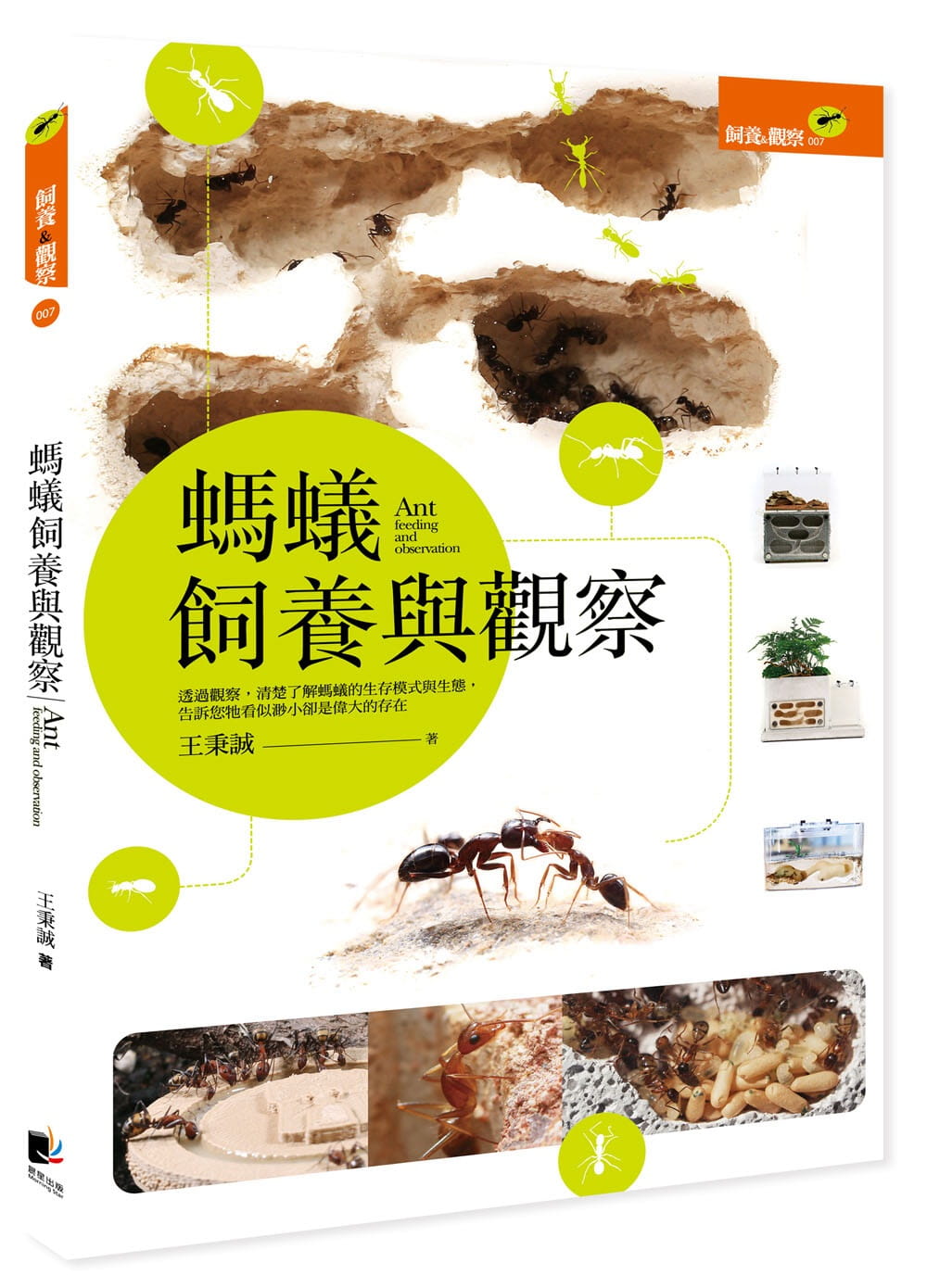预售 王秉诚蚂蚁饲养与观察晨星