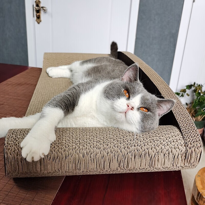 良心点评解析迪熊先生（Mr.Dixiong）大号猫窝能入手吗，口碑质量揭秘反馈