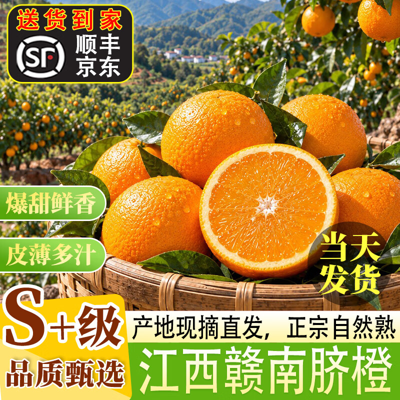 小筑倾橙【顺丰/JD】江西赣南脐橙新鲜手剥橙赣州甜橙子孕妇水果年货礼盒 5斤中果【单果70-80mm】